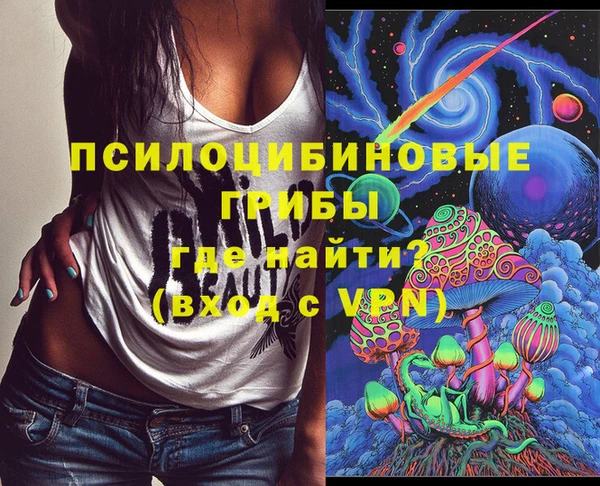 шишки Армянск