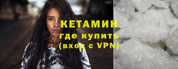 шишки Армянск
