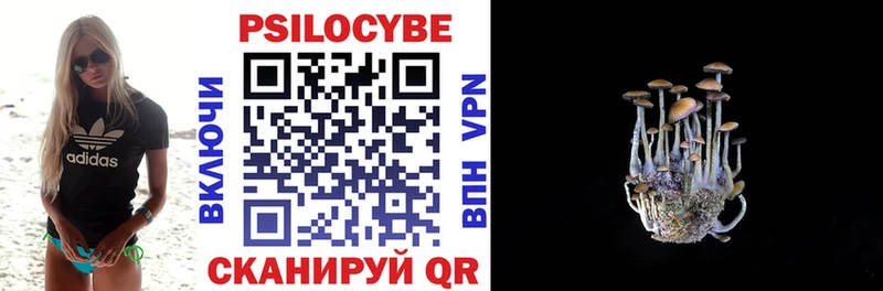 Псилоцибиновые грибы Cubensis  Гремячинск 