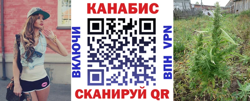как найти закладки  Гремячинск  KRAKEN ССЫЛКА  Бошки Шишки Amnesia 